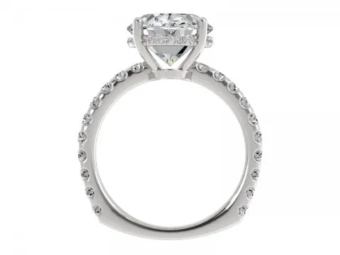 5.39ct Oval Solitaire with Pave Shank