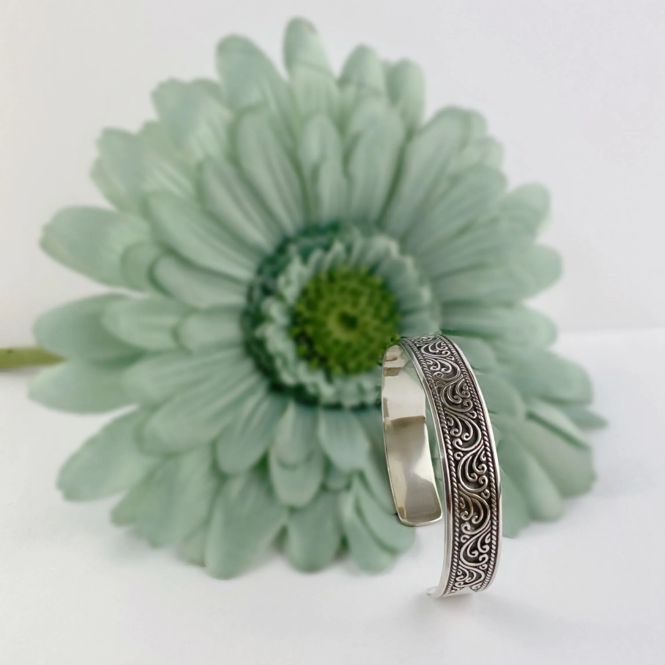 Anika Bangle - VBGL213