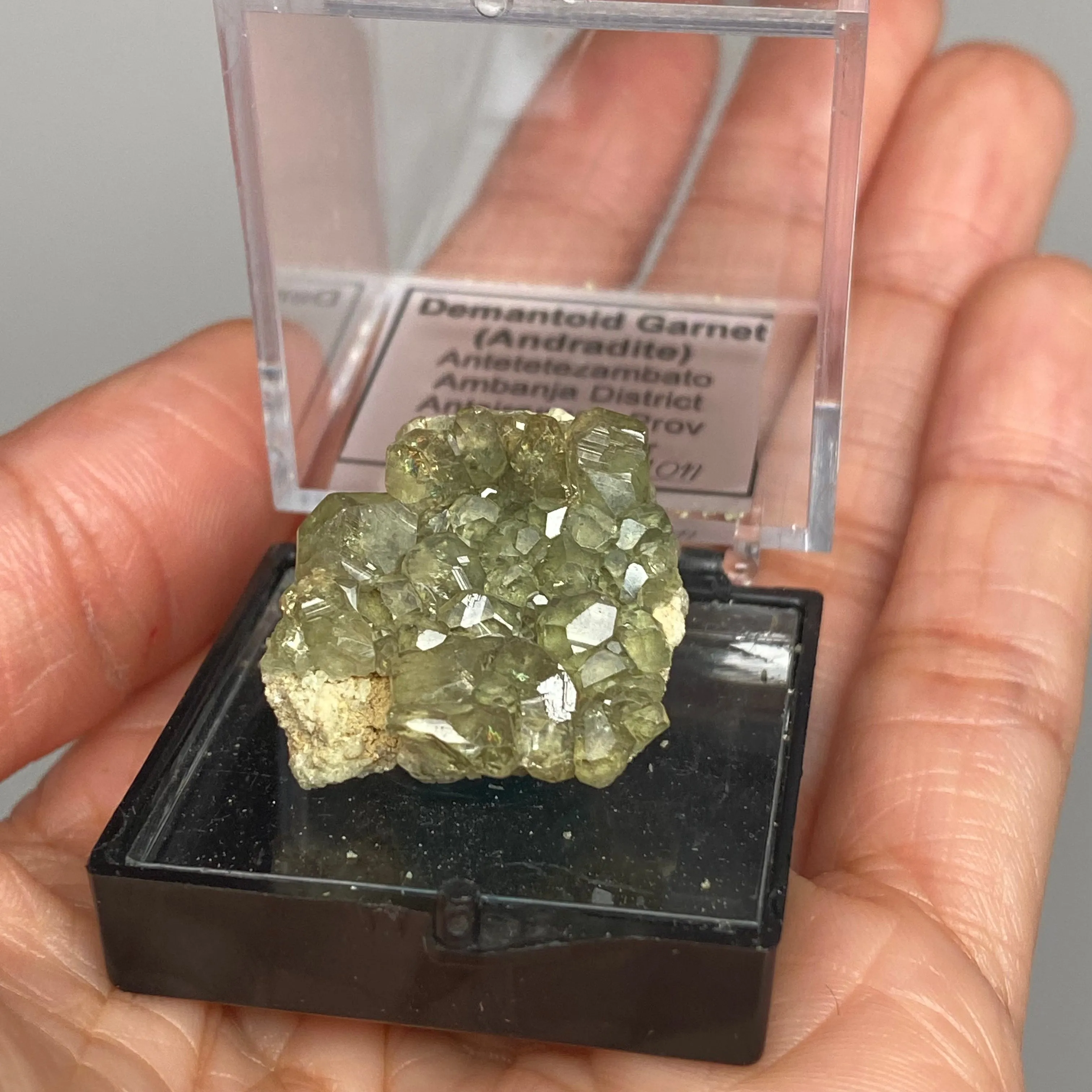 Beautiful Demantoid Garnet (Andradite) from Antetetezambato, Ambanja District, Antsiranana Province, Madagascar