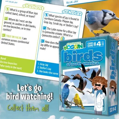 Professor Noggin Birds North America