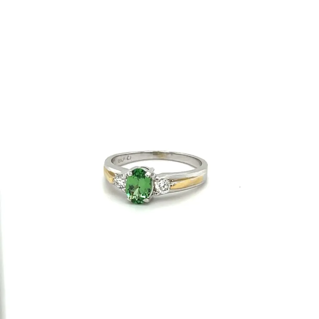 Tsavorite Garnet and Diamond Platinum Ring at Regard Jewelry in Austin, Texas
